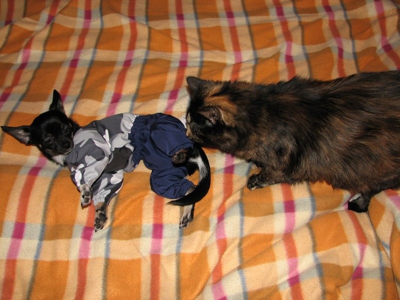 gal/vadik/2007_12_30/IMG_4244.JPG