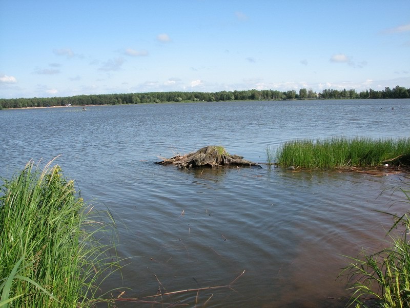 gal/wallpapers/forestlakes/IMG_1437.JPG