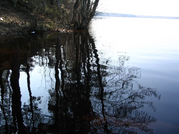 gal/wallpapers/forestlakes/forestlakes-0014.jpg