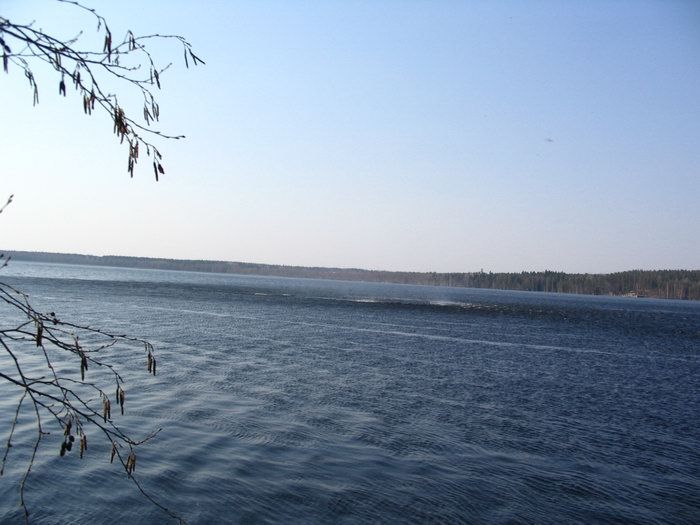 gal/wallpapers/forestlakes/forestlakes-0019.jpg