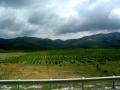 gal/wallpapers/mountains/_thb_mountains-0003.jpg