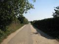 gal/wallpapers/orel/_thb_IMG_7541.JPG