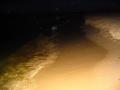 gal/wallpapers/sea/_thb_0020.jpg